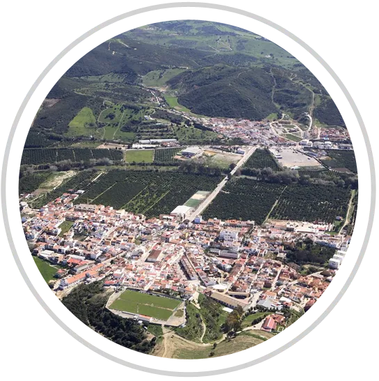 Vista de San Martín del Tesorillo